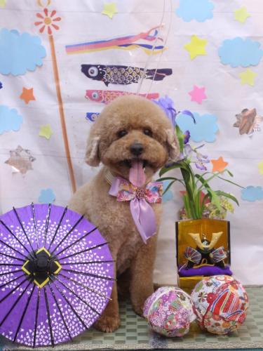 20240522ジョンくん